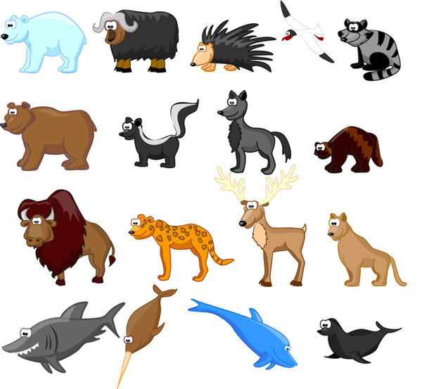 Животные Северной Америки
