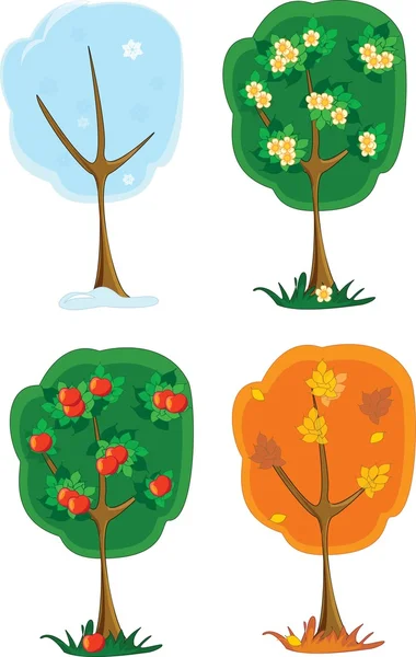 Frühling, Sommer, Herbst, Winter, Baum der vier Jahreszeiten — Stockvektor