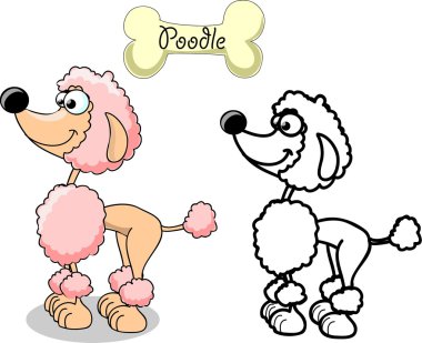 Set cartoon dogs of different breeds clipart