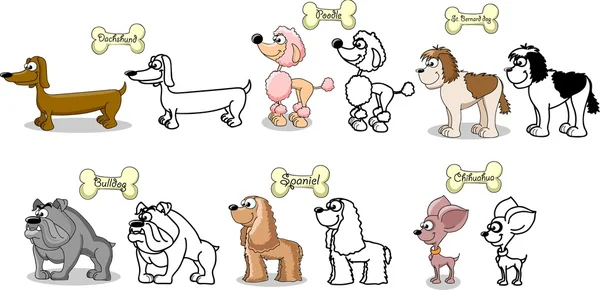 Set cartoon dogs of different breeds — Stock Vector