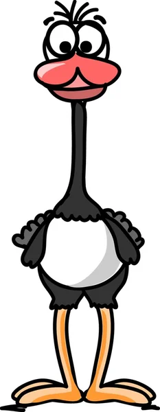 Struisvogel — Stockvector