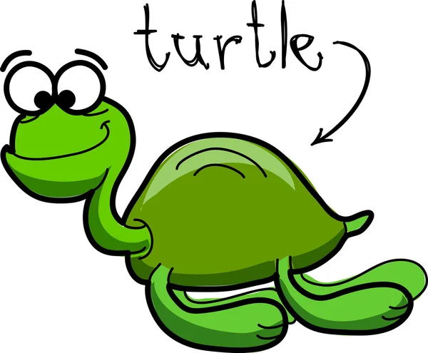 Zeeschildpad, vectorillustratie — Stockvector