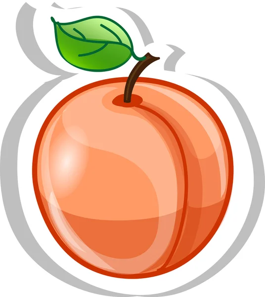 Cartoon apricot — Stock Vector