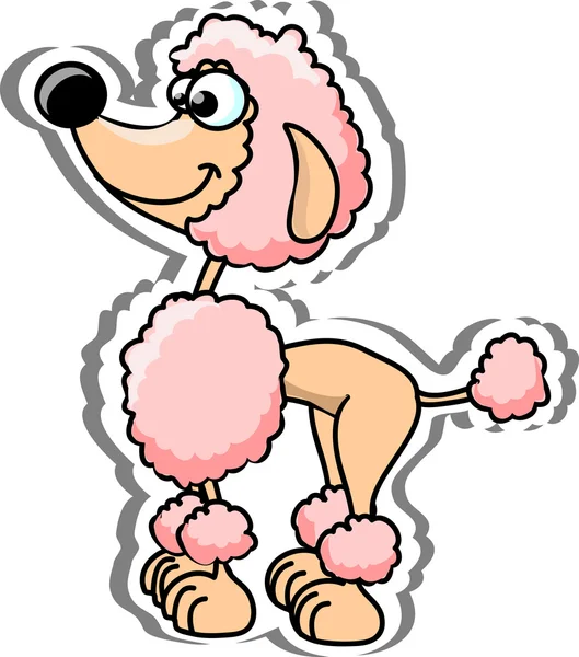 Cartoon poodle — Stock Vector