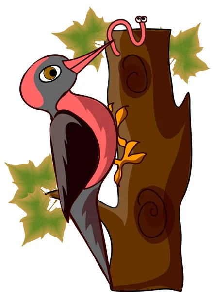 Pájaro carpintero de dibujos animados — Vector de stock