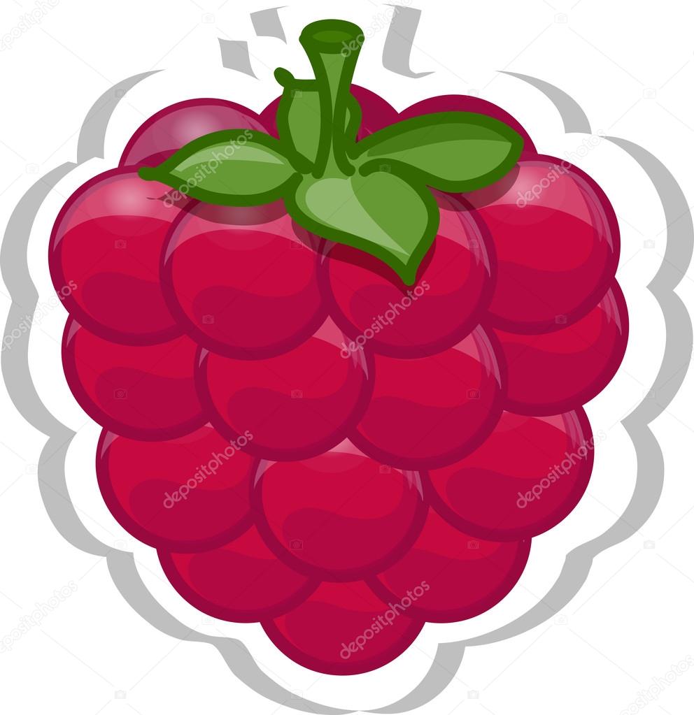 Raspberry 中文