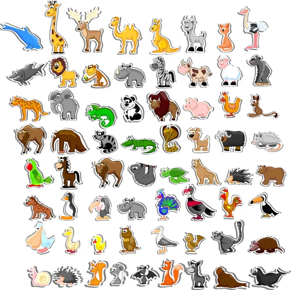 Grote verzameling van dieren — Stockvector
