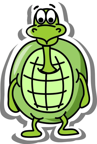 Cartoon turtle — Stock Vector