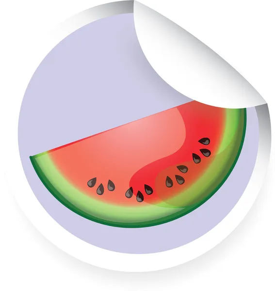 卡通西瓜的贴纸 — 图库矢量图片