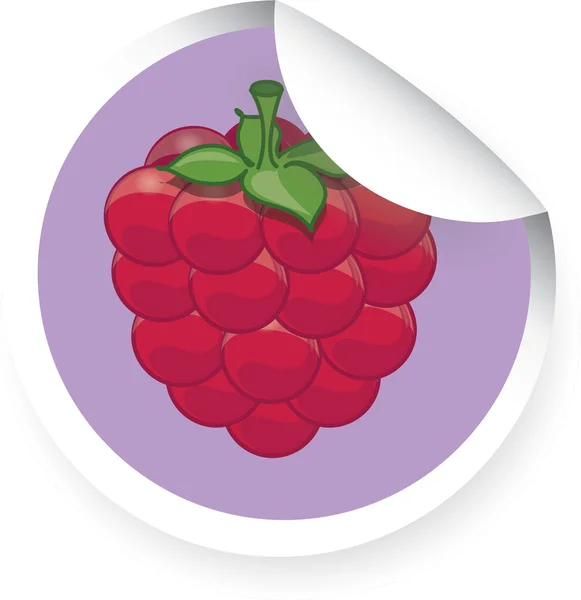 Sticker avec dessin animé framboise — Image vectorielle