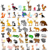 Картина, постер, плакат, фотообои "lion, kangaroo, giraffe, elephant, camel, antelope, hippo, tiger, zebra, rhinoceros", артикул 36344743