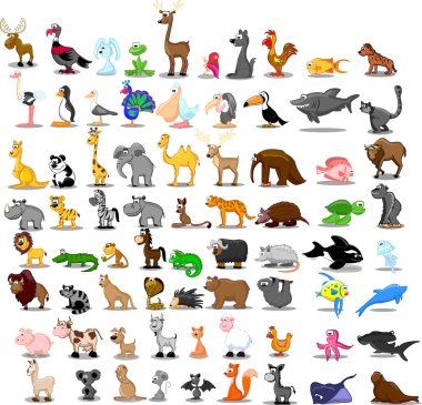 Aslan, kanguru, zürafa, fil, deve, antilop, su aygırı, kaplan, zebra, Gergedan