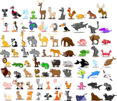 Aslan, kanguru, zürafa, fil, deve, antilop, su aygırı, kaplan, zebra, Gergedan