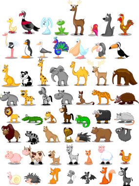 Aslan, kanguru, zürafa, fil, deve, antilop, su aygırı, kaplan, zebra, Gergedan