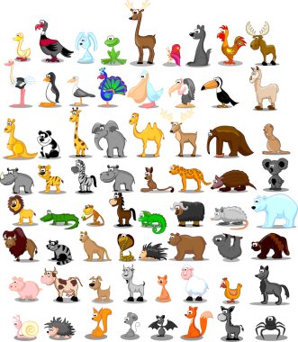 Aslan, kanguru, zürafa, fil, deve, antilop, su aygırı, kaplan, zebra, Gergedan