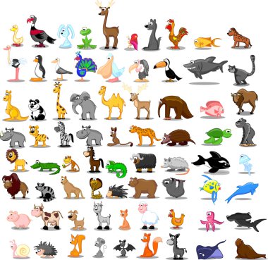 Aslan, kanguru, zürafa, fil, deve, antilop, su aygırı, kaplan, zebra, Gergedan