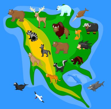 Kuzey Amerika'nın hayvanları