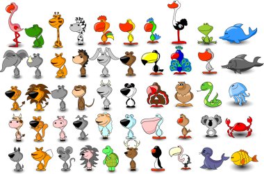 farklı sevimli hayvanlar