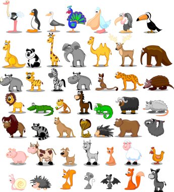 Aslan, kanguru, zürafa, fil, deve, antilop, su aygırı, kaplan, zebra, Gergedan
