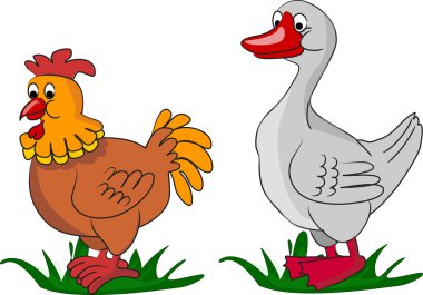 tavuk ve ördek bir çiftlikte yaşayan,