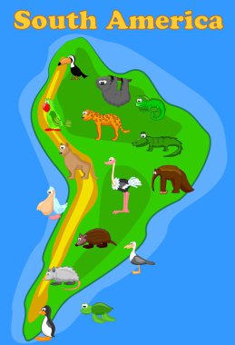 hayvanlar, Güney Amerika