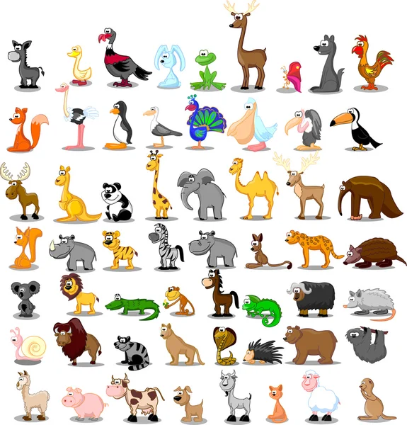 Leeuw, kangoeroe, giraffe, olifant, camel, antilopen, nijlpaard, tijger, zebra, neushoorn — Stockvector