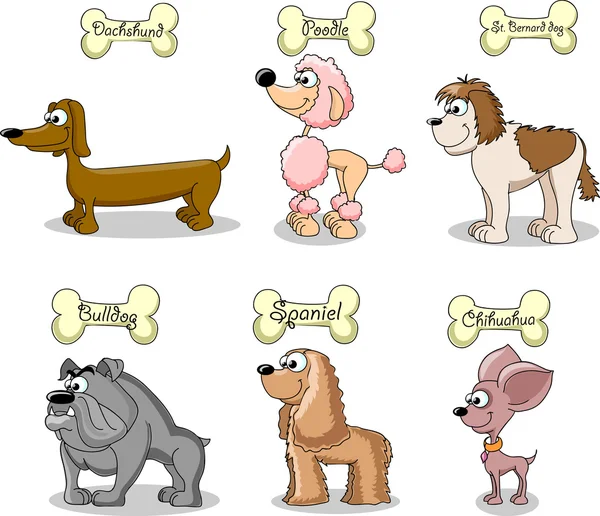 Ange tecknade hundar av olika raser — Stock vektor