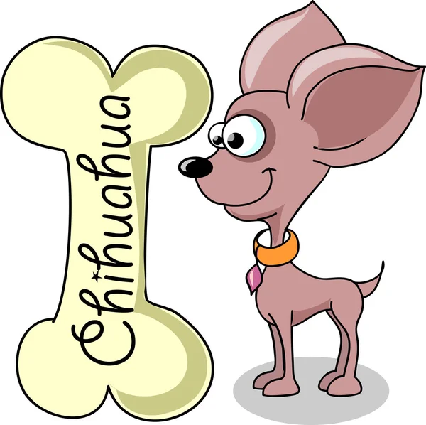 Raza de perro de dibujos animados Chihuahua — Vector de stock