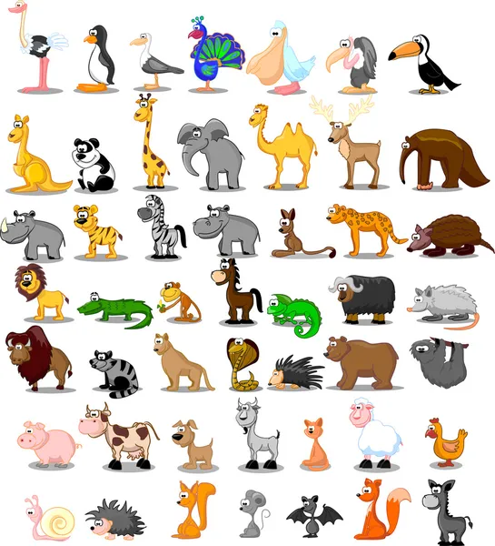 Lion, kangourou, girafe, éléphant, chameau, antilope, hippopotame, tigre, zèbre, rhinocéros — Image vectorielle