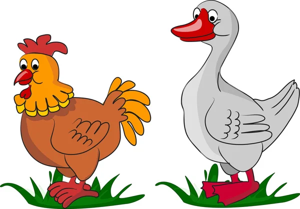 Chicken and Duck, living on a farm — Stock Vector