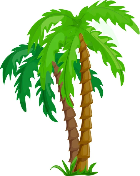 Tropical palm trees — Stock Vector