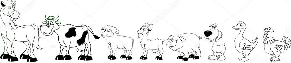 Imágenes: animales domesticos en blanco y negro | animales domésticos