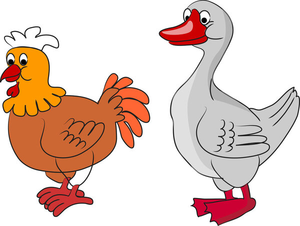 Chicken and Duck, living on a farm