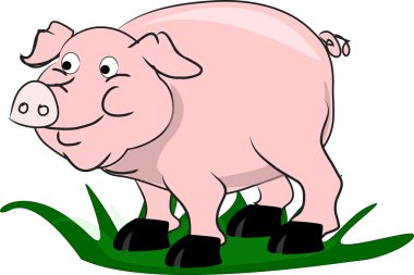 domuz, bir çiftlikte yaşayan