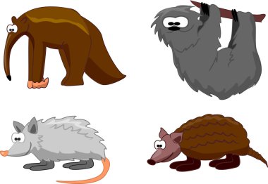 opossum, armadillo, karınca yiyen, tembel hayvan