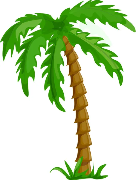 Palmera tropical — Vector de stock