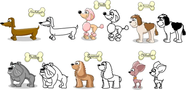 Set cartoon dogs of different breeds Stock Vector Image by ©virinaflora  #37446415