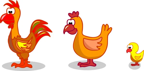 Cartoon hen rooster chicken — Stock Vector