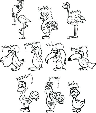 Cartoon black and white birds vector