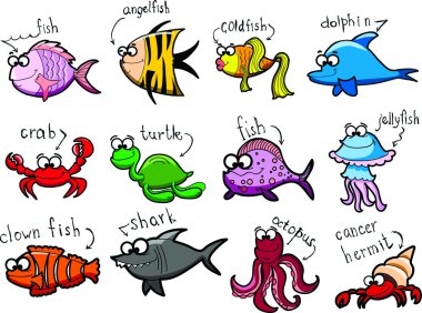 deniz ile ilgili balıkçı