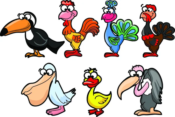 Conjunto de lindas aves de dibujos animados — Vector de stock