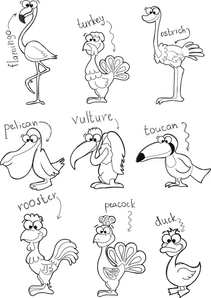 Reihe von niedlichen Cartoon schwarz-weißen Vögeln — Stockvektor