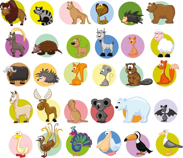 Conjunto de diferentes animales y aves — Vector de stock