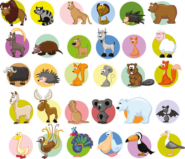 Set of different animals and birds
