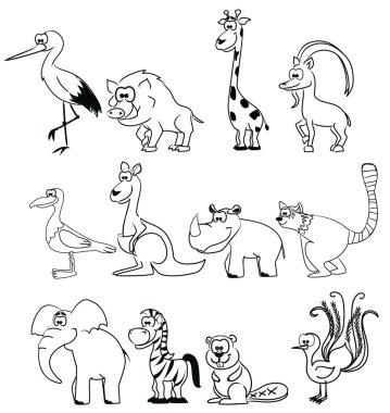 farklı siyah beyaz hayvanlar ve kuşlar