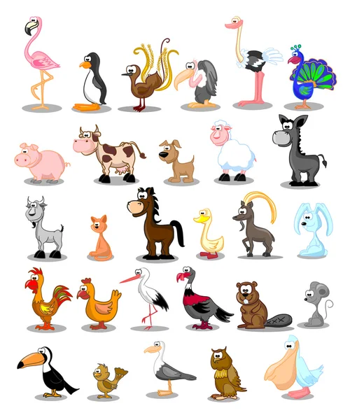 Conjunto de diferentes animales y aves — Vector de stock