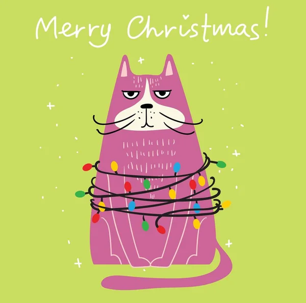 有圣诞猫的病媒卡，有针织帽子、毛衣、围巾等配饰的可爱猫的快乐圣诞插画 — 图库矢量图片