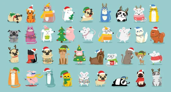 圣诞系列不同的动物和圣诞节象征着一年中的老虎、老鼠、猫、带着礼物的狗和其他动物 — 图库矢量图片
