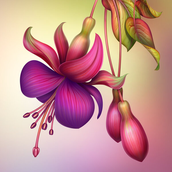 fuchsia flower with green leaves