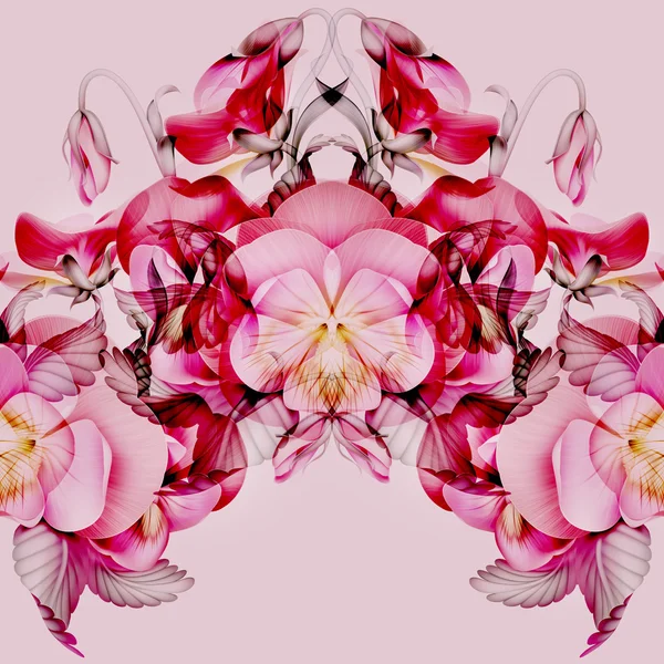 Vzorek s růžovými květy, maceška — Stock fotografie